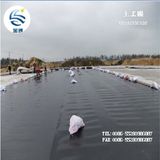 ISO 9001 American Standard (ASTM) Geomembrane