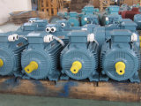Y2 Series AC Electric Motor Cast Iron 2p 15kw