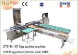Automatic Egg Grading Packing Machine Electronic Grader