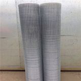 China Galvanized Welded Wire Mesh / Welded Wire Mesh