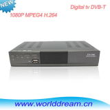 DVB-T MPEG4 H. 264 HD Receiver (YT-8901)
