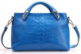 Ladies Handbag (JZ17018)