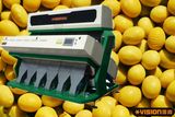 Broad Cowpea Beans Separating Machine! Agricultural Machinery for Beans! (VSN3000-G6R)