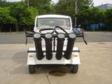 Matsa 4-Seat Golf Car, Passenger Car, Security Car