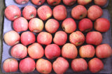 2014 FUJI Apples (Top Quality&Best price)