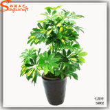 Real Like Plants Artificial Plants Bonsai Everygreen Plants