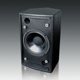 Profeesional Loudspeake, PA Loudspeaker, Professional Audio, Professional Coaxial Speaker (C-8)