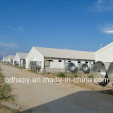 Professional Design Poultry Farm Construction with Full Equipment