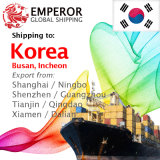 Container Shipping From Shanghai, Ningbo, Shenzhen, Guangzhou to Busan, Incheon