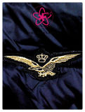 (LN1504) Machinery Embroidery Eagle T-Shirt Derss Fasion Logo