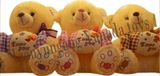 Lovely Teddy Bear Plush Soft Stuffed Toys