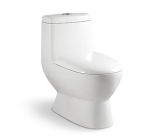Toilet Fitting, Toilet Bowl, Wall Hung Toilet (2035)
