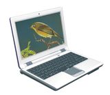 10.1 Inch Ultra Mobile PC (MPC-WW1001)