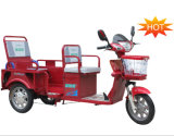 Cute Foldable Electric Tricycle for Passenger & Cargo (DCQ100-03F)