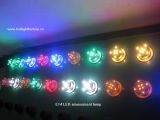LED Amusement Lamp /LED Decoration Lamp14