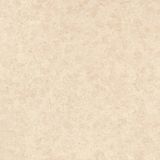 Polished Porcelain Tiles Tile Supplier