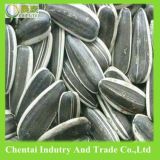 2014 Chines Black 5009 Sunflower Seeds Nuts