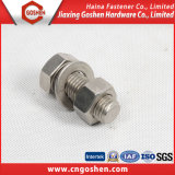 High Quality Hex Bolt with Nut (a2-70)