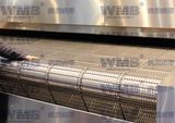Food Grade Roller Chain Wire Ring Belt