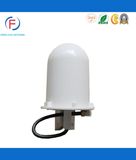 Fashionable Pole Mounted Fiberglass Omni-Directional Antenna