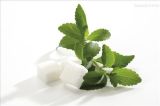 Stevia Leaf Extracts P. E. 90% Min.