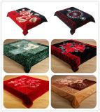 Best New Design Raschel Blanket/Polyester Blanket/Textile