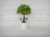 Artificial Plastic Potted Flower (XD14-227)