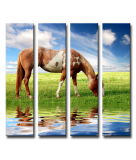 Wall Decor Hot Sale Canvas Horse Print Painting