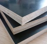 Black Film Faced Plywood (FFP-HT003B)