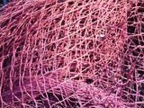 PE Fishing Net