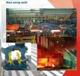 Hot Strip Mill of Plate Strip Mill