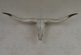 Longhorn Ox Skull Wall Hanging Craft with Size of 77*32*12cm