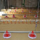 Automatic Chicken Feeding Equipment for Broiler