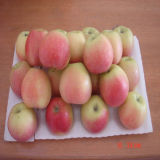 Fresh Gala Apple with Shandong Origin