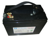 LiFePO4 Battery for Power Storage (PP1260R100X)