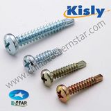 Various Self Drilling Screw