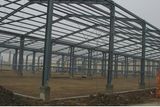 Steel Structure Workshop/Buildings