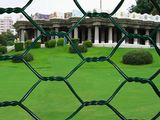 Hot Selling Hexagonal Wire Netting