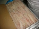 Frozen Pollock Fillets Block