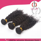 Wholesale Kinky Curly Brazilian Human Hair Weft