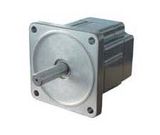 Brushless DC Motor (90ZWN)