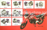 Top Quality Motorcycle Cylinder Motorcycle Engine Parts for Motorcycle Parts