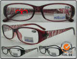 Fashion Plastic Eyewear Reading Glasses (MRP21268)