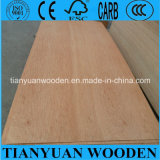 Keruing Commercial Plywood for Furniture and Decoration