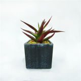 Popular Grey Artificial Concrete Potted Plant Aloe Office Desk Succulent Plant for Sale