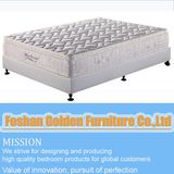 Latex Pocket Spring Mattress (8836-1#)