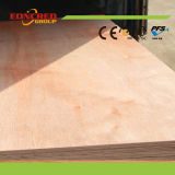 Professional Plywood Manufacturer Sale Plywood
