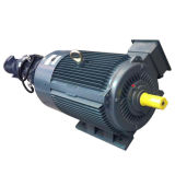 CE Single Phase Electric Motor, AC Electric Motor