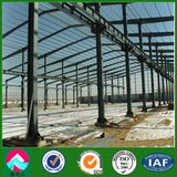 H Column Steel Structure Worshop, Warehouse Building (XGZ-SSB113)