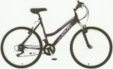 MTB, Mountain Bike, Mountain Bicycle (1227)